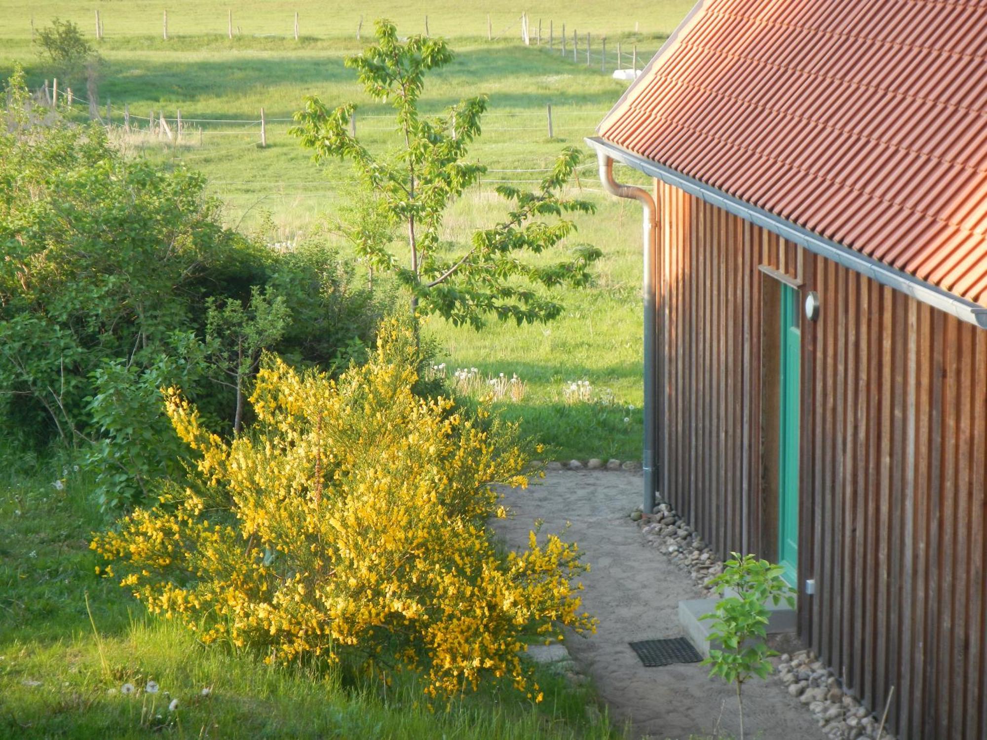 Ferienlandhaus Zempow Exterior foto